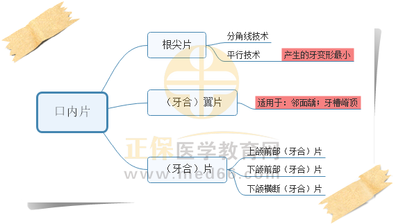 1.口内片分类