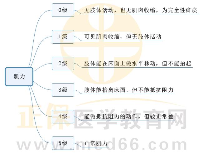 肌力5级状态区分历年重要考点思维导图