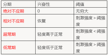 2022年临床医学专业本科水平测试【细胞兴奋后心奋性的变化】