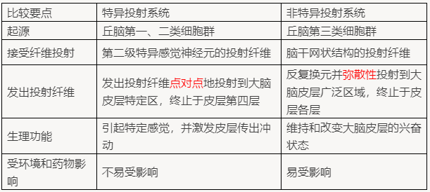 特异投射系统和非特异投射系统的比较：2022年临床医学专业本科水平测试