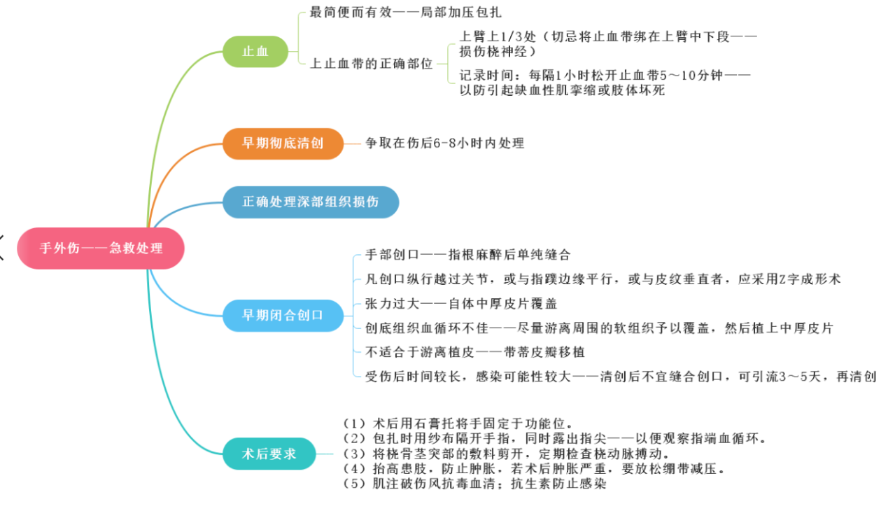 “运动系统知识点：手外伤急救处理”2022年临床医学专业本科水平测试