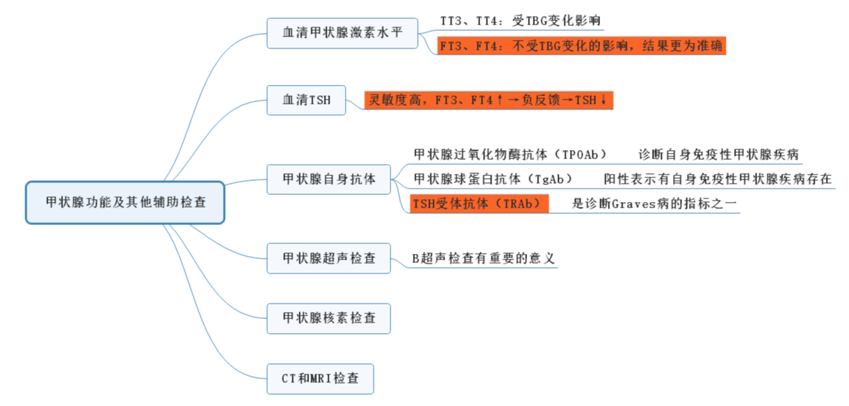 2022年临床医学专业本科水平测试代谢、内分泌系统知识点【甲亢甲状腺功能及其他辅助检查】