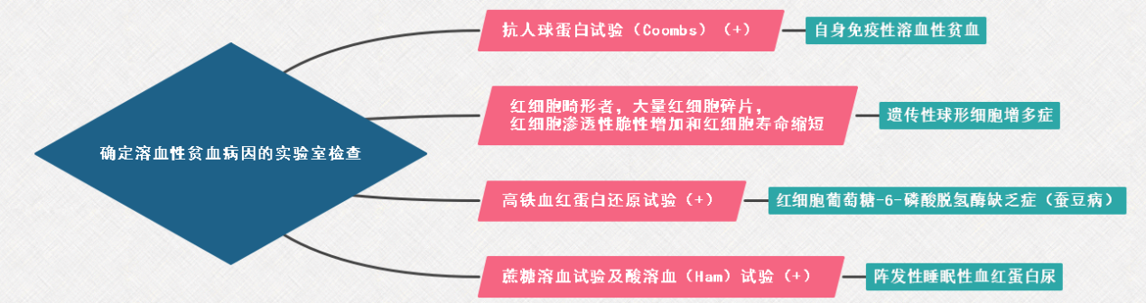 2022年临床医学专业本科水平测试知识点血液系统：确定溶血性贫血病因的实验室检查