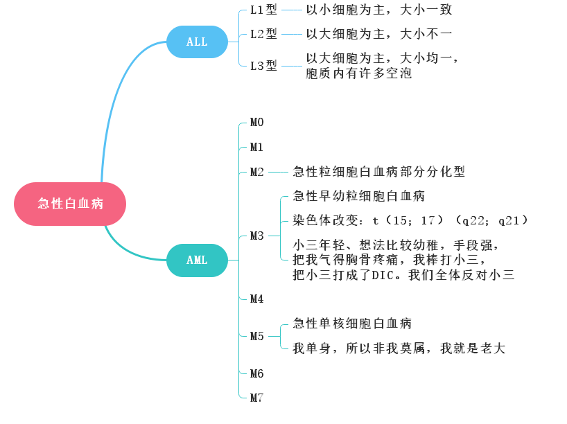 【血液系统：急性白血病】2022年临床医学专业本科水平测试知识点