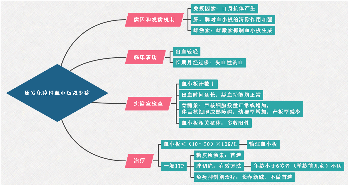 2022年临床医学专业本科水平测试知识点血液系统：原发免疫性血小板减少症