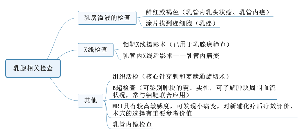 “乳腺相关检查”2022年临床医学专业本科水平测试知识点