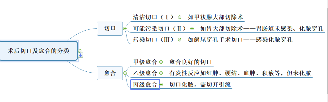 术后切口及愈合的分类：2022年临床医学专业本科水平测试知识点