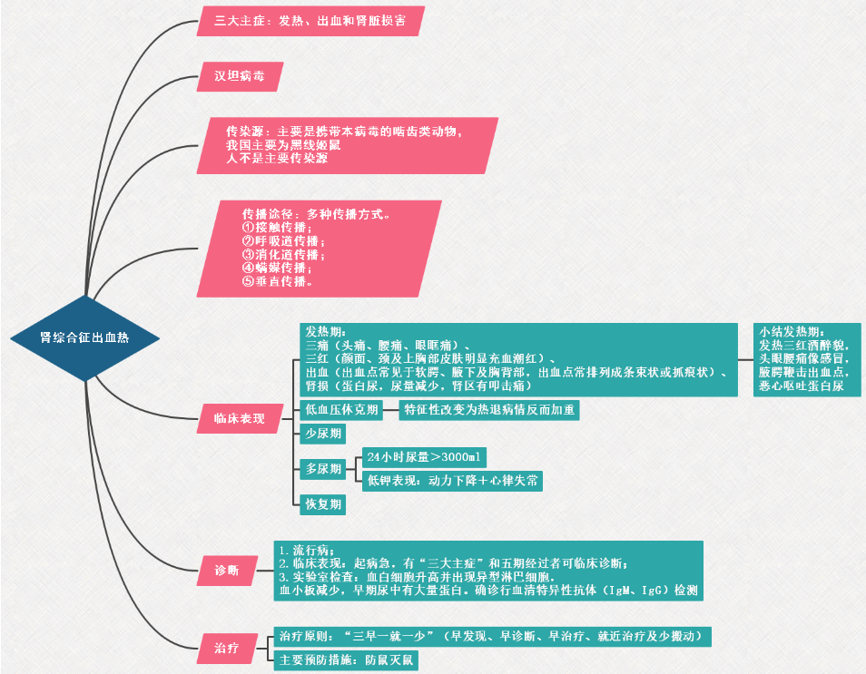 2022年临床医学专业本科水平测试传染病、性传播疾病：肾综合征出血热