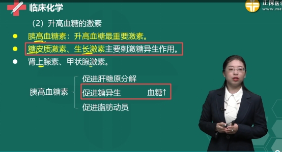 检验技士考试往年考点：促进糖异生的激素