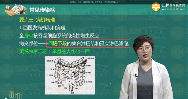 中西医内科主治医师往年考点：伤寒的病变部位