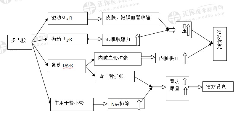 多巴胺