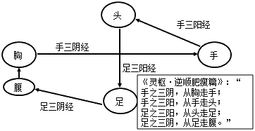 中西医内科主治考点：十二经脉的走向规律