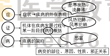 中药综特点