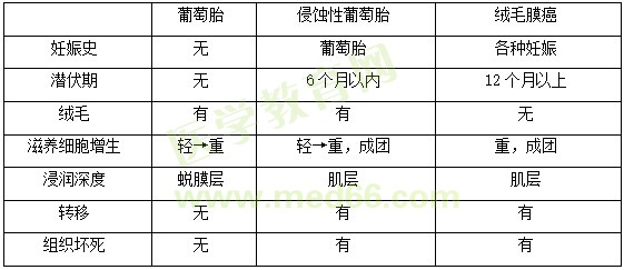 【临床】2023医疗招聘备考资料：高频考点（2.21）