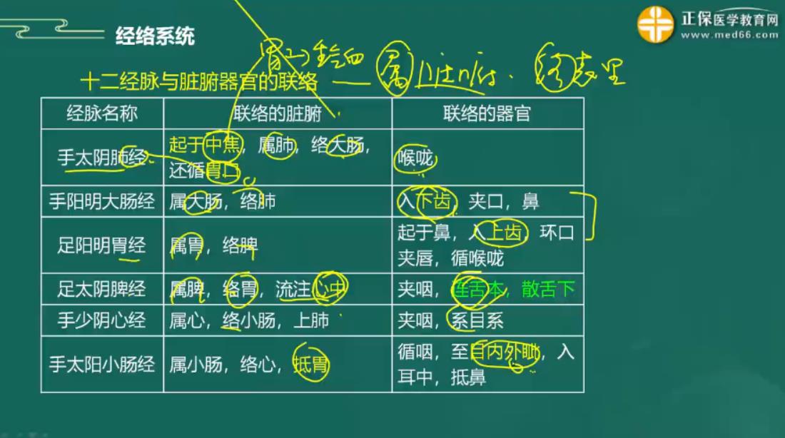 2023年中医助理医师针灸学科目知识点“十二经脉与脏腑器官的联络”记忆