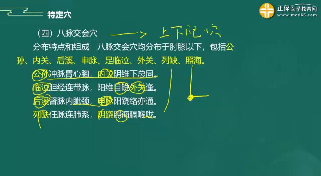 2023年中医助理医师针灸学科目知识点“特定穴之八脉交会穴与八会穴”记忆