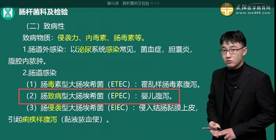 2023检验主管技师考点回顾：肠致病型大肠埃希菌