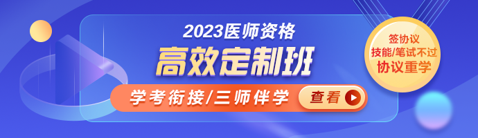 2023临床助理医师高效定制班