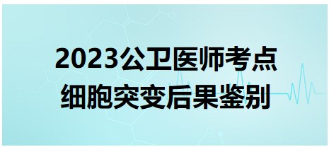 2023公卫医师考点细胞突变后果鉴别