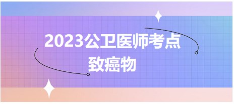 2023公卫执业医师考生每日考纲知识点记忆：致癌物