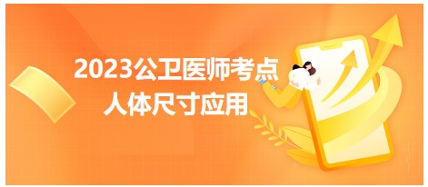 2023公卫助理医师考纲知识点<人体尺寸应用>速记小结