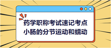 小肠的分节运动和蠕动-2024药学职称考试速记考点