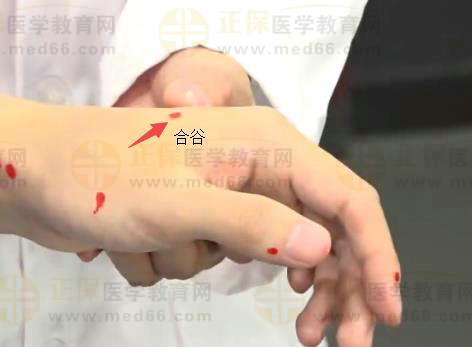 中西医助理医师实践技能针灸常用腧穴：手阳明大肠经（合谷）
