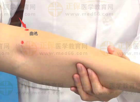 中西医助理医师实践技能针灸常用腧穴：手阳明大肠经（曲池）