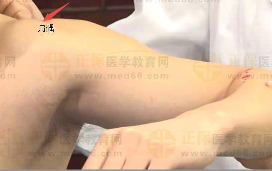 中西医助理医师实践技能针灸常用腧穴：手阳明大肠经（肩髃）