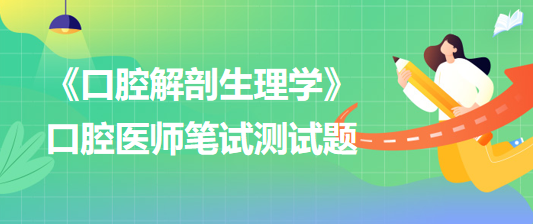 （牙合）曲线-2023口腔执业口腔解剖生理学模拟试题：-