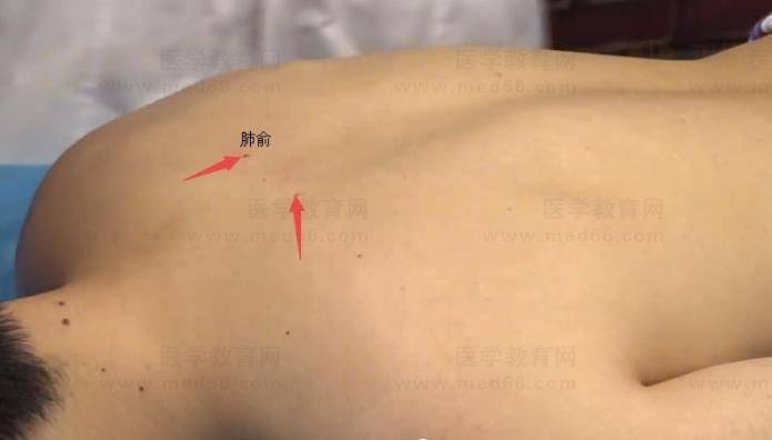 中西医助理医师实践技能针灸常用腧穴：足太阳膀胱经（肺俞）