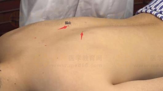 中西医助理医师实践技能针灸常用腧穴：足太阳膀胱经（膈俞）