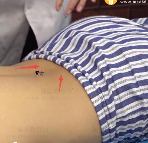 中西医助理医师实践技能针灸常用腧穴：足太阳膀胱经（肾俞）
