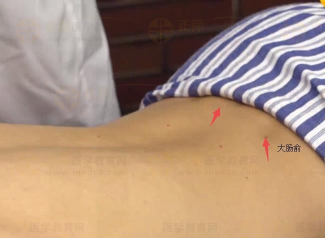 中西医助理医师实践技能针灸常用腧穴：足太阳膀胱经（大肠俞）