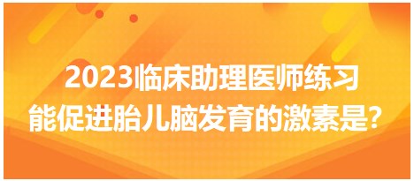 2023临床助理医师练习-促进胎儿脑发育的激素是？