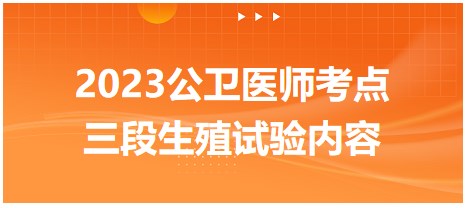 三段生殖试验内容-2023公卫执业医师知识点实战命题练习