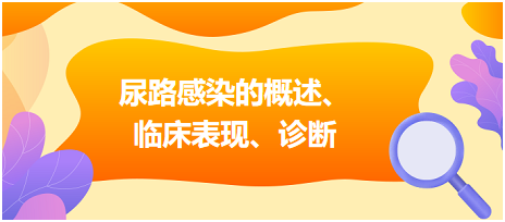 乡村助理医师考生必背高分知识点尿路感染的概述、临床表现、诊断