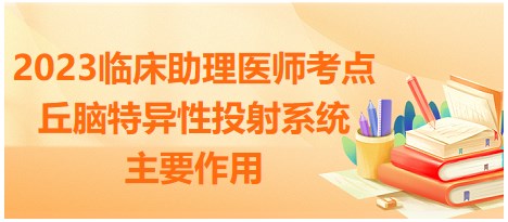 2023临床助理医师考点-丘脑特异性投射系统