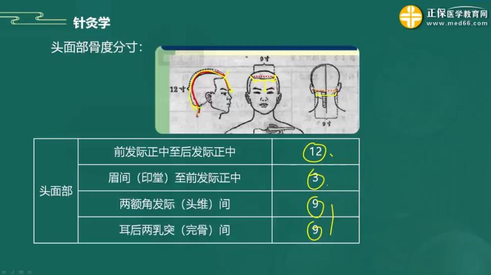 2023年中医执业助理医师备考知识点针灸学“骨度折量寸”