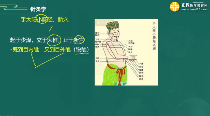 2023年中医执业助理医师备考知识点：针灸学“手太阳小肠经、腧穴”