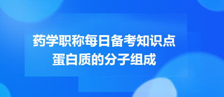 蛋白质的分子组成-2024药学职称考试每日备考知识点