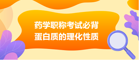 2024药学职称考试必背：蛋白质的理化性质