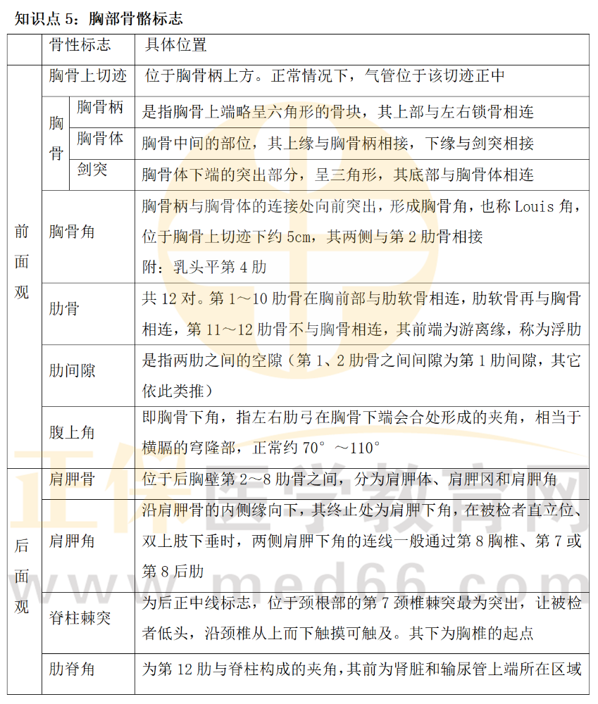 2023乡村助理医师实践技能拿分点胸部骨骼标志知识小结