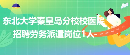 东北大学秦皇岛分校校医院2023年6月招聘劳务派遣岗位1人