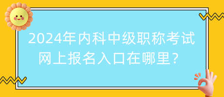 2024年内科中级职称考试网上报名入口在哪里？