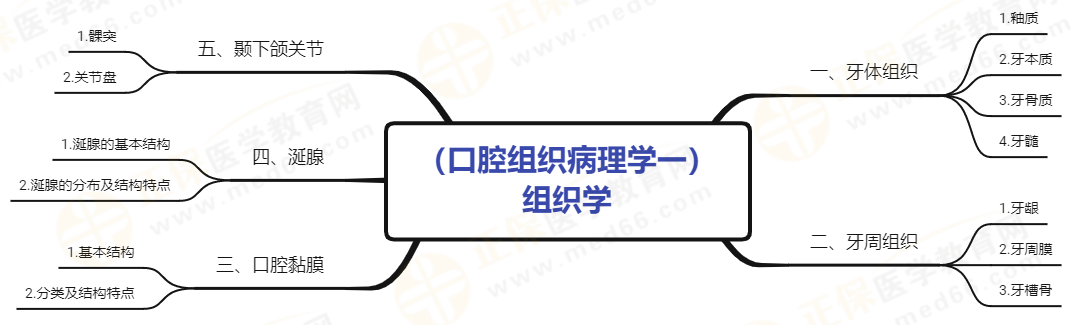 口腔主治医师【口腔组织病理学-组织学】知识点地图