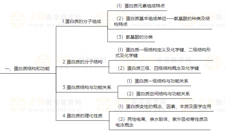 初级药士《基础知识-生物化学》知识点地图，速度查收！