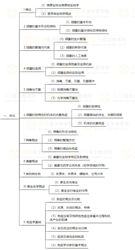 初级药士考生速看：《基础知识-病原生物学与免疫学基础》知识点地图