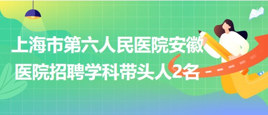 上海市第六人民医院安徽医院2023年招聘学科带头人2名