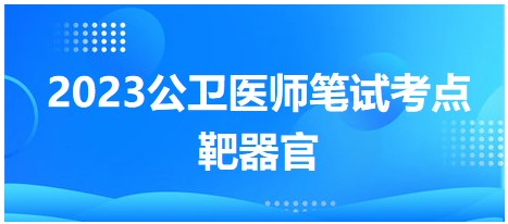 2023公卫执业医师笔试重难考点<靶器官>历年命题考点总结